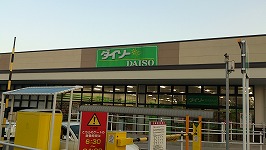 daiso.jpg(17710 byte)