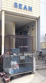 gomi-okiba.jpg(23957 byte)