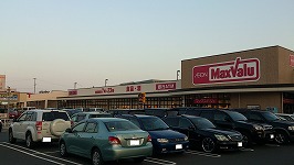 maxvalue.jpg(14799 byte)